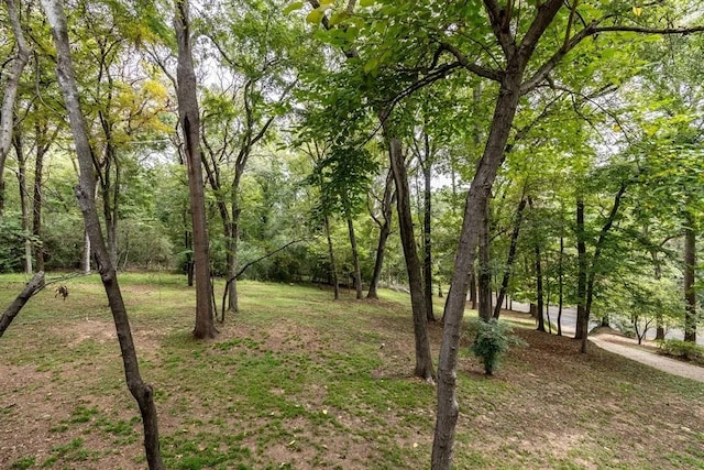 2223 N Link St, Palestine, TX 75803 - photo 35