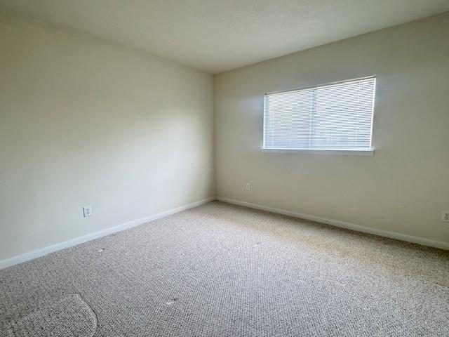 15119 Brookwood Brg, Houston, TX 77498 - photo 16