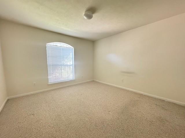 15119 Brookwood Brg, Houston, TX 77498 - photo 17