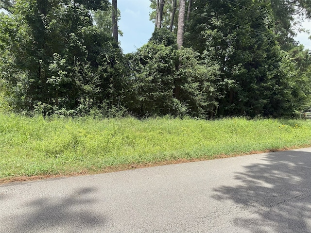 000 County Road 2286, Cleveland, TX 77327 - photo 12