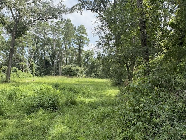 000 County Road 2286, Cleveland, TX 77327 - photo 1