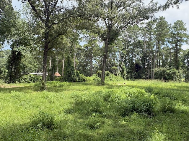 000 County Road 2286, Cleveland, TX 77327 - photo 2
