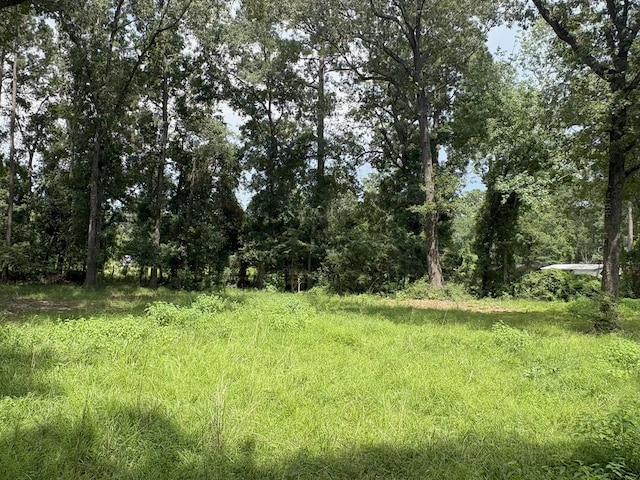 000 County Road 2286, Cleveland, TX 77327 - photo 3