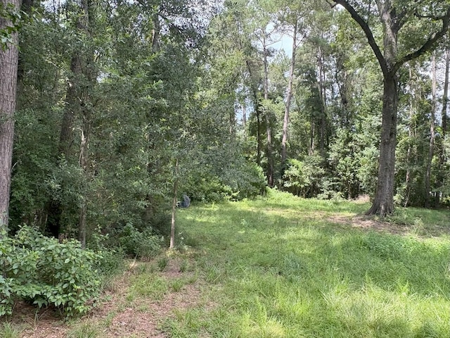 000 County Road 2286, Cleveland, TX 77327 - photo 4