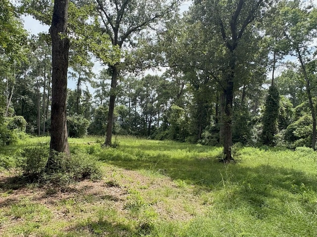 000 County Road 2286, Cleveland, TX 77327 - photo 5