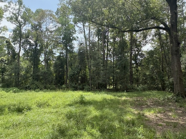 000 County Road 2286, Cleveland, TX 77327 - photo 6