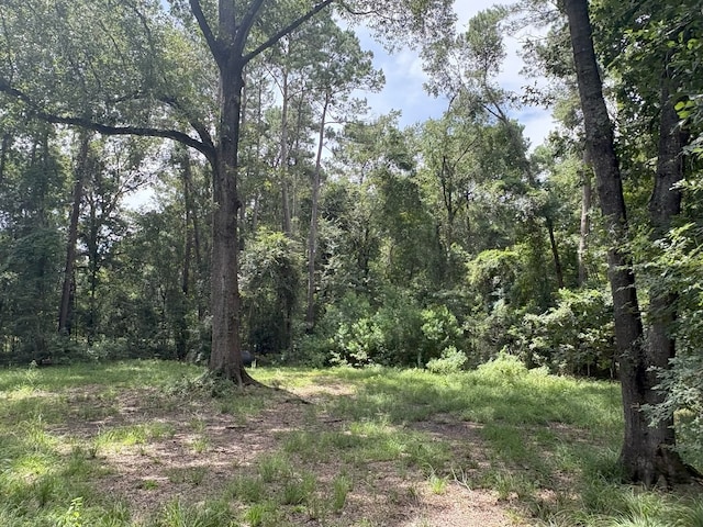 000 County Road 2286, Cleveland, TX 77327 - photo 8