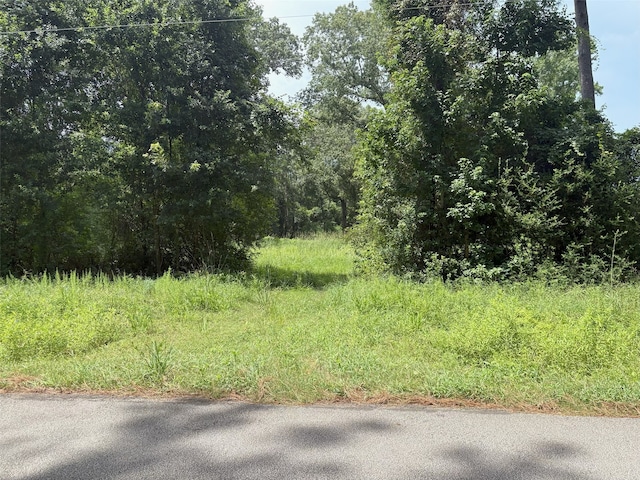 000 County Road 2286, Cleveland, TX 77327 - photo 10