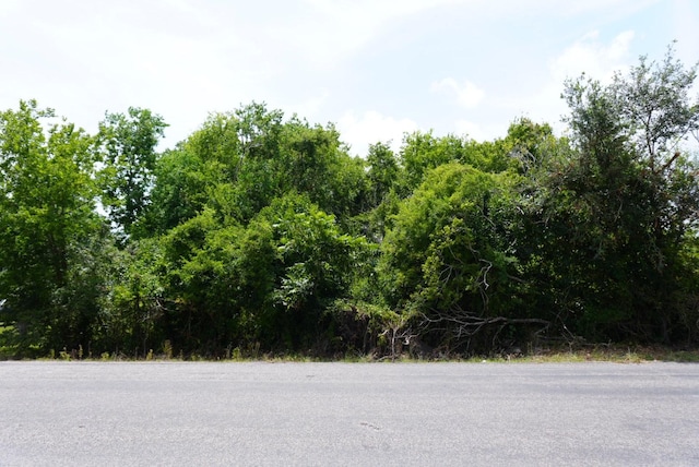 5128 Pearson Rd, Santa Fe, TX 77517 - photo 2