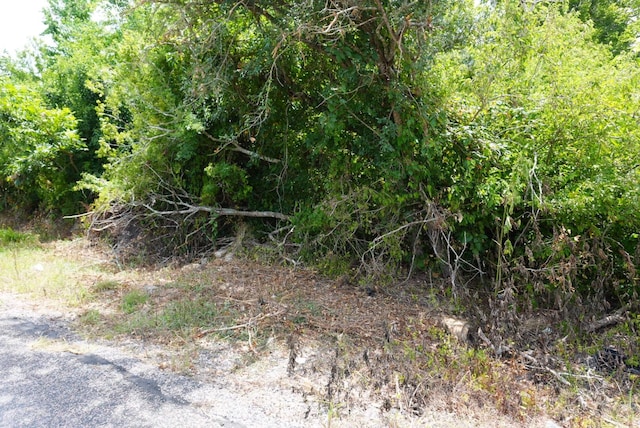 5128 Pearson Rd, Santa Fe, TX 77517 - photo 5