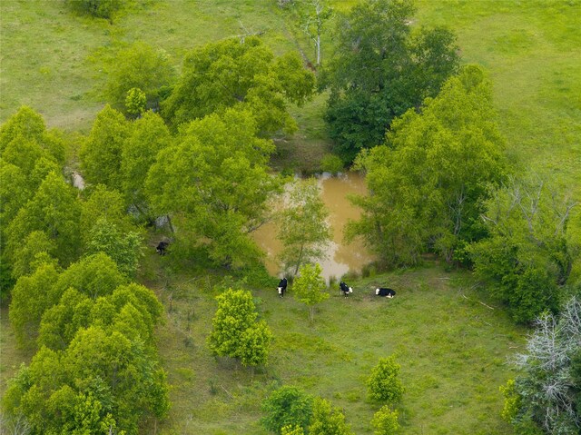 5652 SW An County Rd 2202, Palestine, TX 75803 - photo 42