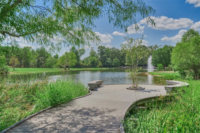 38 Driftdale Pl, Spring, TX 77389 - photo 49