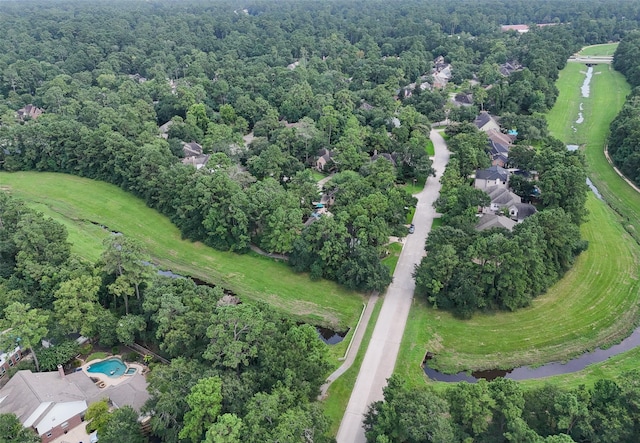 42 Golden Shadow Cir, The Woodlands, TX 77381 - photo 46