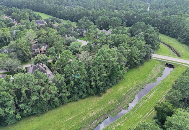 42 Golden Shadow Cir, The Woodlands, TX 77381 - photo 48