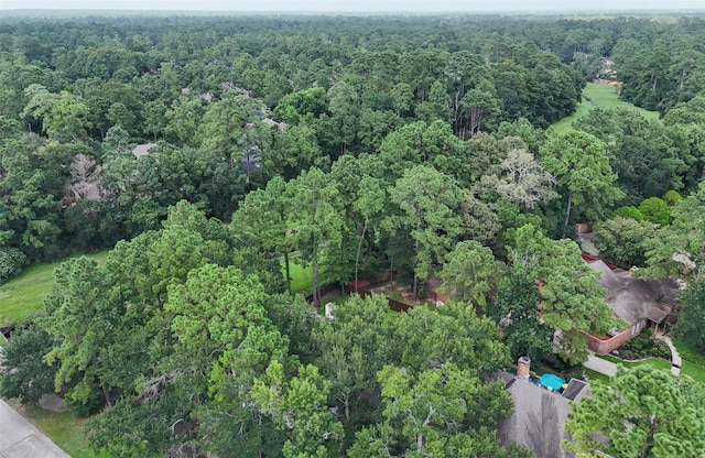 42 Golden Shadow Cir, The Woodlands, TX 77381 - photo 49