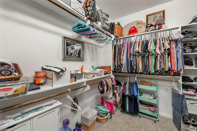 6346 Spartan Dr, College Station, TX 77845 - photo 22