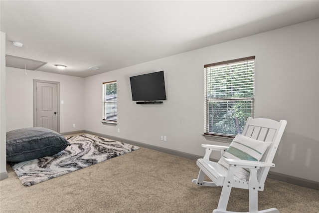 10911 Maddys Ct, Montgomery, TX 77316 - photo 28