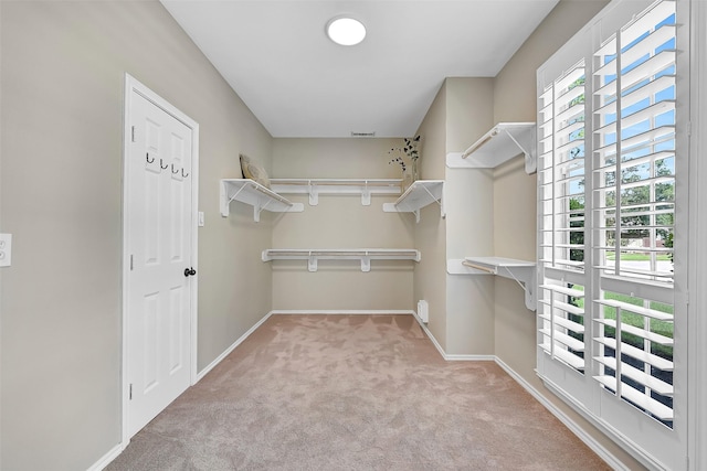 714 Hidden Woods Ln, Friendswood, TX 77546 - photo 27