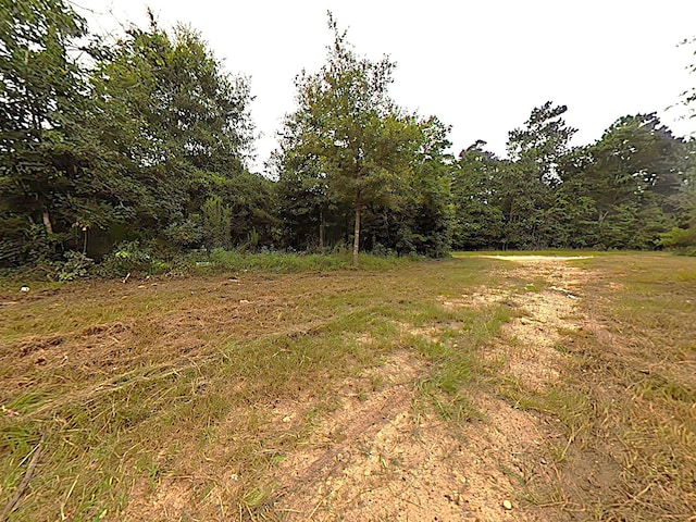 286 Stacy Wiggins Dr, Livingston, TX 77351 - photo 1