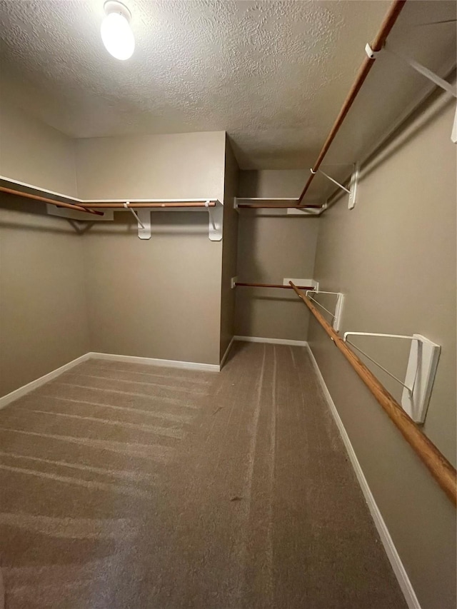 1411 Township Ct, Rosenberg, TX 77471 - photo 23