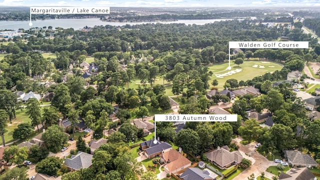 3803 Autumn Wood, Montgomery, TX 77356 - photo 2
