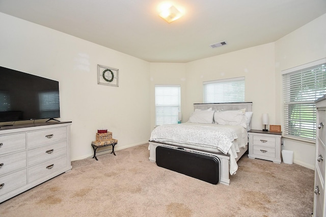 22511 Mount Echo Dr, Hockley, TX 77447 - photo 16