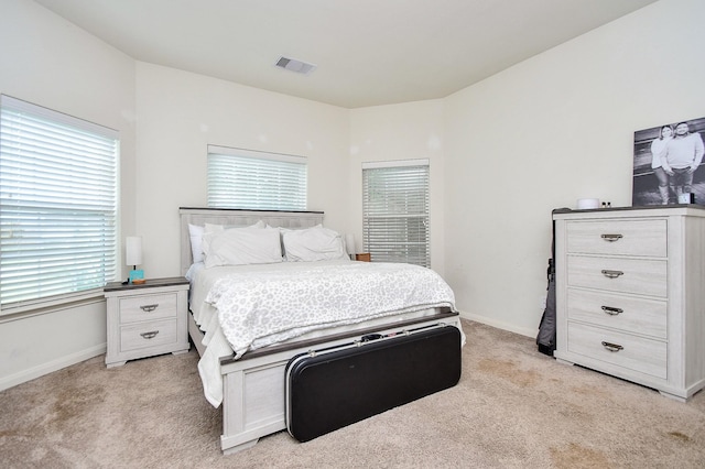 22511 Mount Echo Dr, Hockley, TX 77447 - photo 17