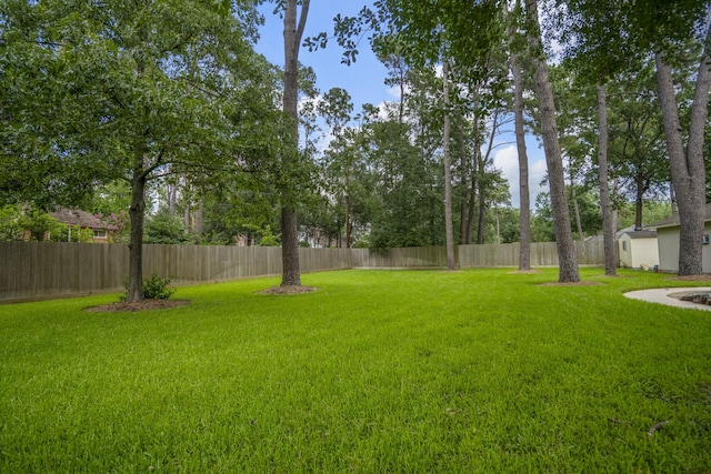 6118 Magnolia St, Katy, TX 77493 - photo 44