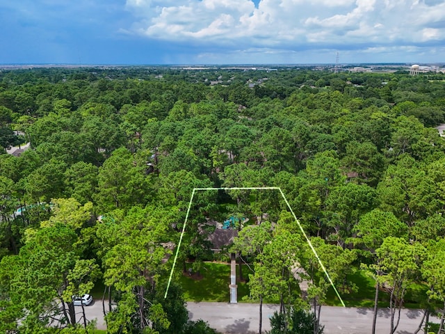 6118 Magnolia St, Katy, TX 77493 - photo 47