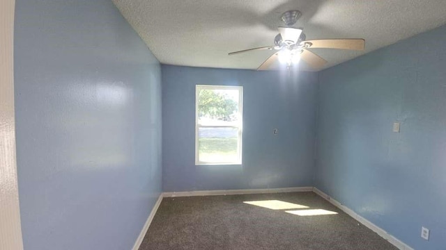7338 Bigwood St, Houston, TX 77016 - photo 8
