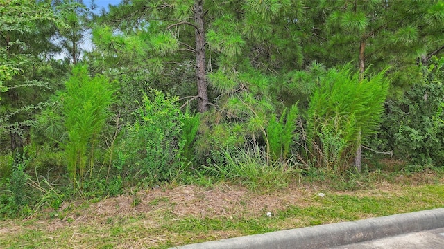 0 Deerbrook Park Blvd, Humble, TX 77338 - photo 6