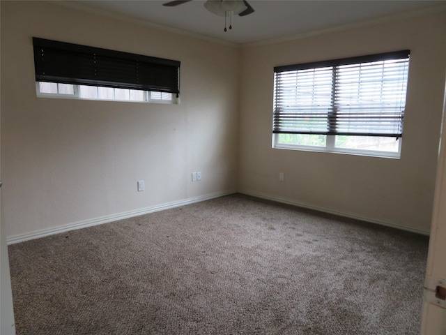 535 Arlington St, Houston, TX 77007 - photo 9