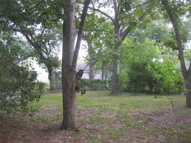 4807 Eppes St, Houston, TX 77021 - photo 16