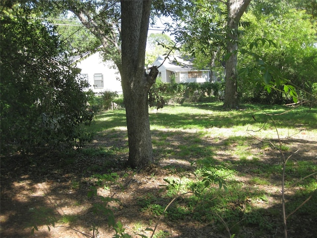 4807 Eppes St, Houston, TX 77021 - photo 17