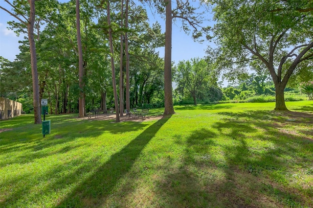 14655 Champion Forest Dr Unit 505, Houston, TX 77069 - photo 33