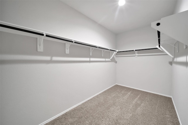 2406 Rainier Mist Rd, Spring, TX 77373 - photo 16
