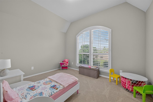 24263 Via Vitani Dr, Richmond, TX 77406 - photo 25