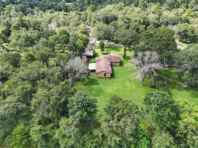 28 Cauthen Dr, Huntsville, TX 77320 - photo 21