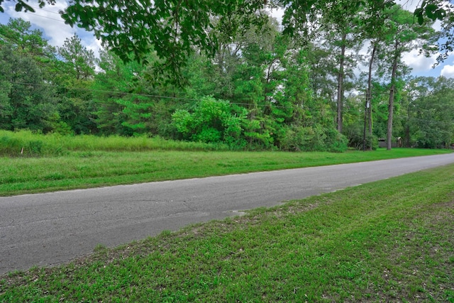 21699 Carol Rd, New Caney, TX 77357 - photo 6