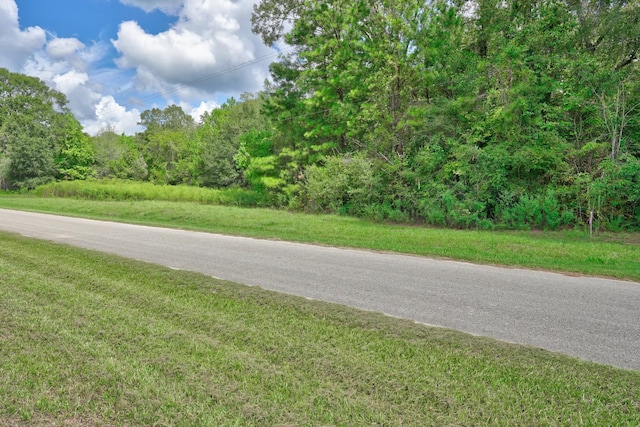 21699 Carol Rd, New Caney, TX 77357 - photo 2