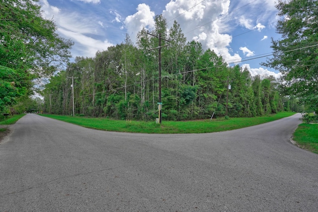 21699 Carol Rd, New Caney, TX 77357 - photo 3