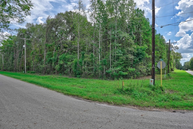 21699 Carol Rd, New Caney, TX 77357 - photo 5
