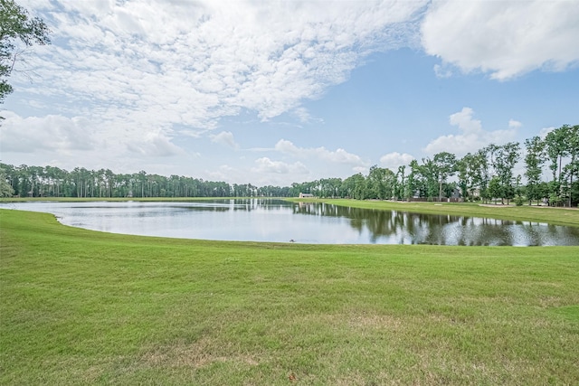 21590 Jordan Pond Rdg, Porter, TX 77365 - photo 42