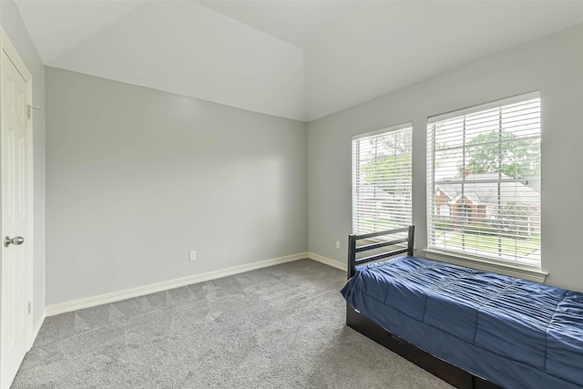13023 Dogwood Blossom Trl, Houston, TX 77065 - photo 37
