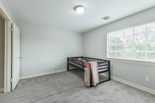 13023 Dogwood Blossom Trl, Houston, TX 77065 - photo 41