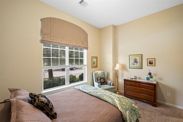 8935 Summer Iris Trl, Cypress, TX 77433 - photo 15