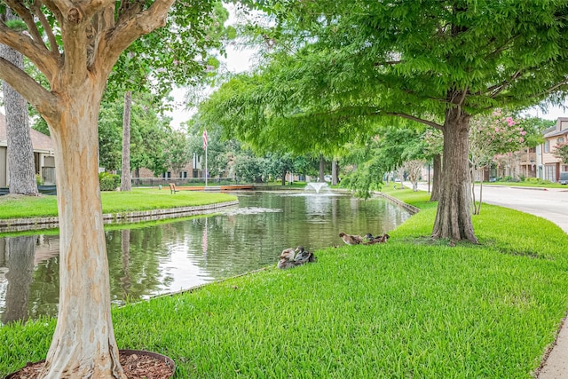 5801 Lumberdale Rd Unit 144, Houston, TX 77092 - photo 42