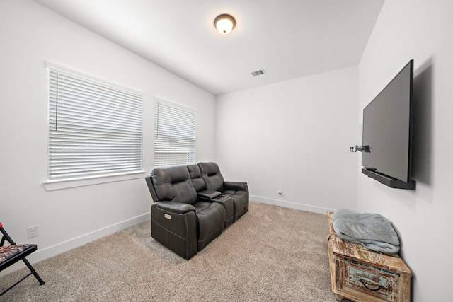 12511 Blossom Dr, Tomball, TX 77375 - photo 25