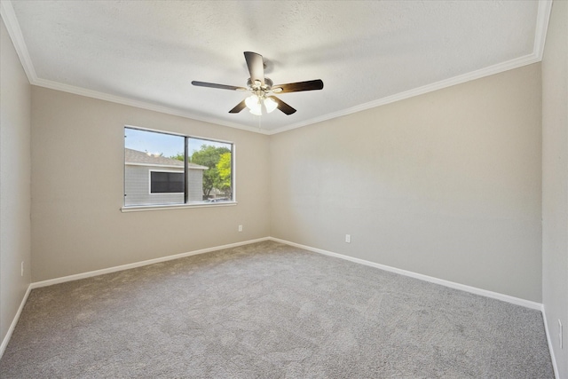 2379 Briarwest Blvd Unit 80, Houston, TX 77077 - photo 17
