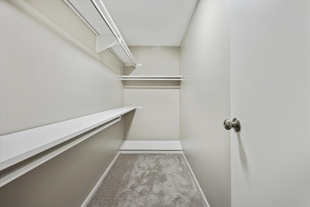 2379 Briarwest Blvd Unit 80, Houston, TX 77077 - photo 19